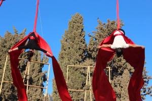 11403354_1654012401499508_4086893488274782576_n